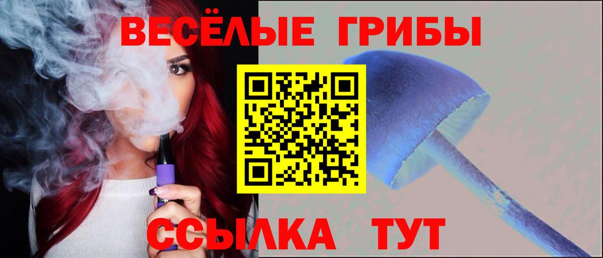 Кореновск  Псилоцибиновые грибы ЛСД  Вход с VPN  Галлюциногенные грибы Psilocybine cubensis 